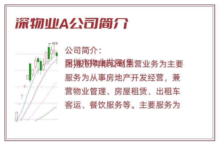 深物业A公司简介