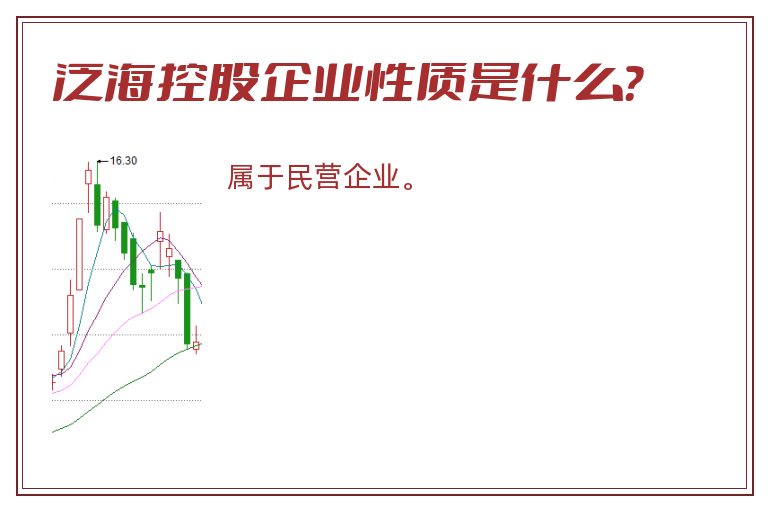 泛海控股企业性质是什么？