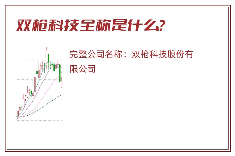 双枪科技全称是什么？