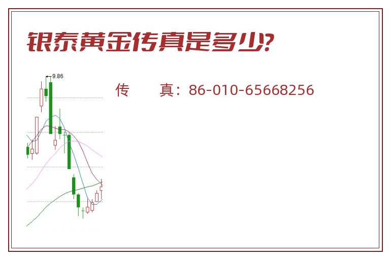 银泰黄金传真是多少？