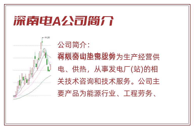 深南电A公司简介