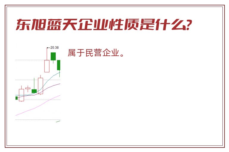 东旭蓝天企业性质是什么？