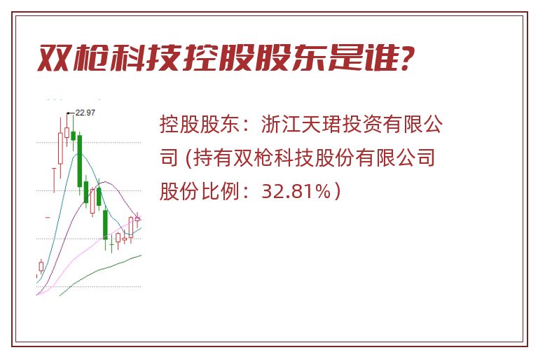 双枪科技控股股东是谁？