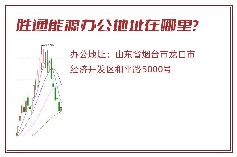 胜通能源办公地址在哪里？