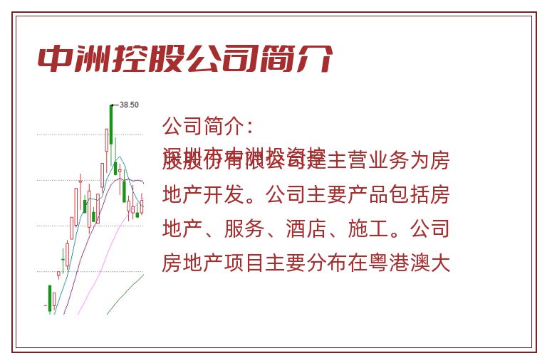 中洲控股公司简介