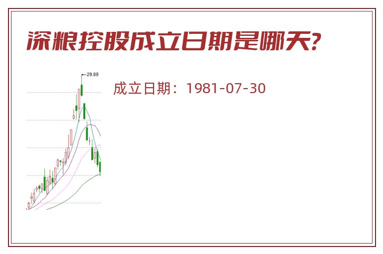 深粮控股成立日期是哪天？