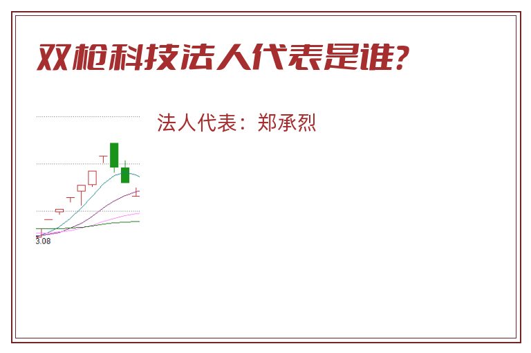 双枪科技.jpg