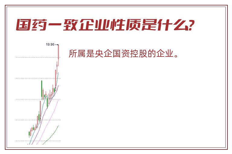 国药一致企业性质是什么？