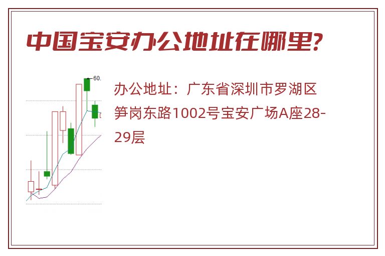 中国宝安办公地址在哪里？