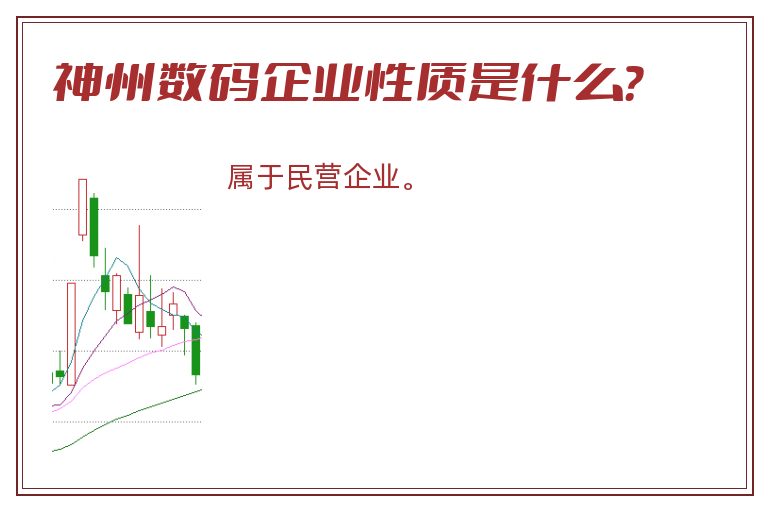 神州数码企业性质是什么？