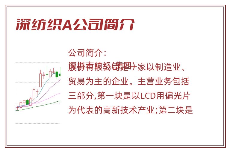 深纺织A公司简介