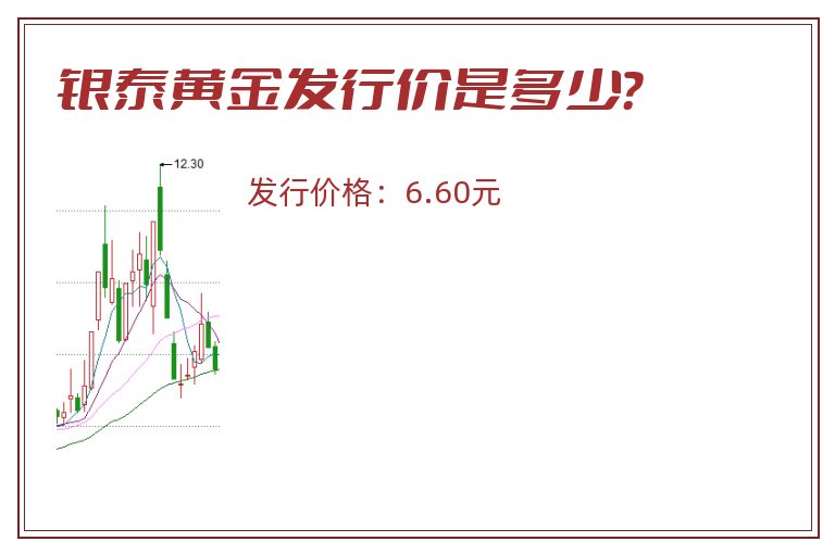 银泰黄金发行价是多少？