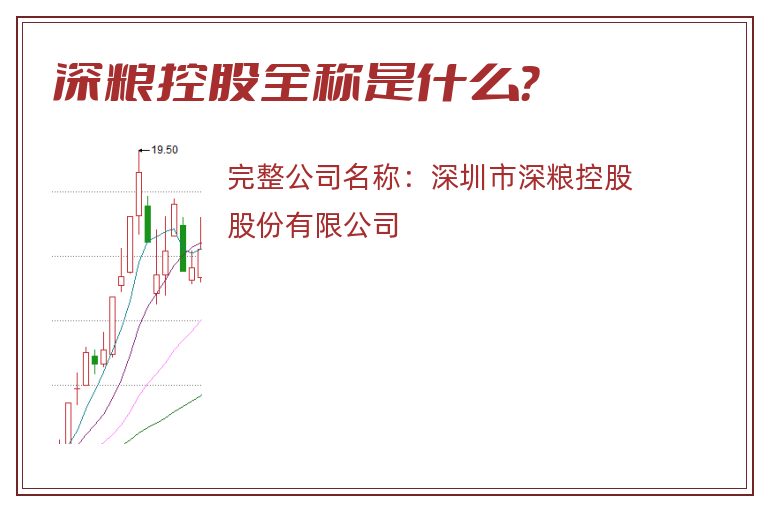 深粮控股全称是什么？