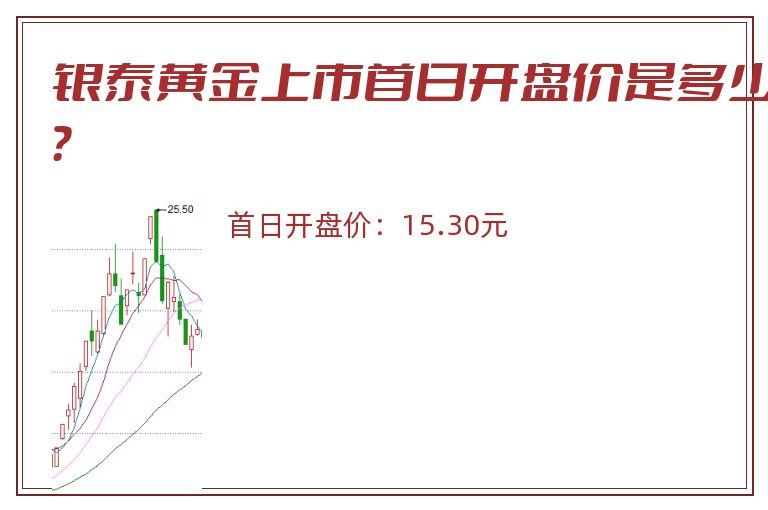 银泰黄金上市首日开盘价是多少？