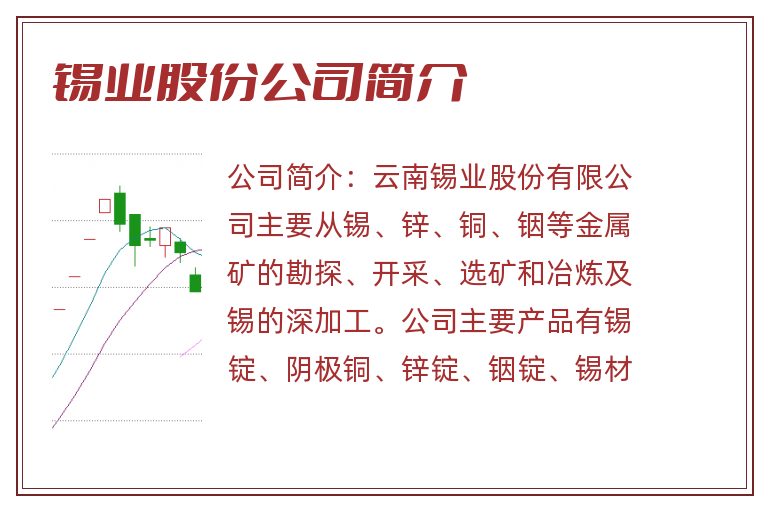 锡业股份公司简介