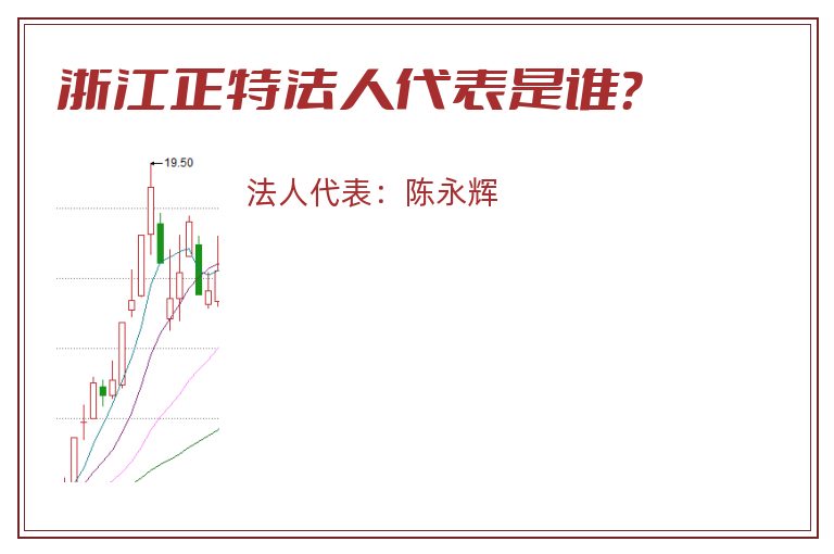 浙江正特法人代表是谁？