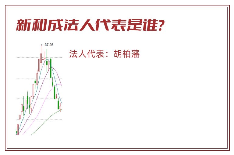 新和成法人代表是谁？