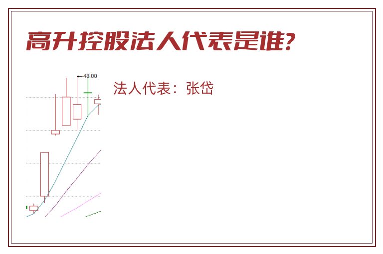 高升控股法人代表是谁？