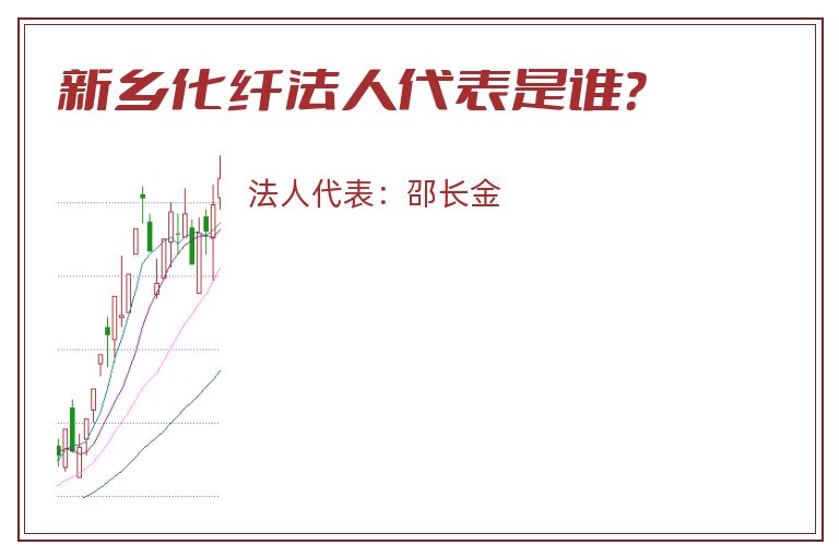 新乡化纤法人代表是谁？