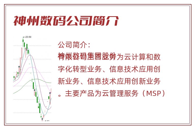 神州数码公司简介