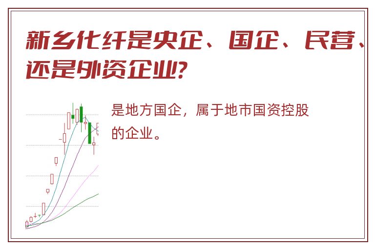 新乡化纤是央企、国企、民营、还是外资企业？