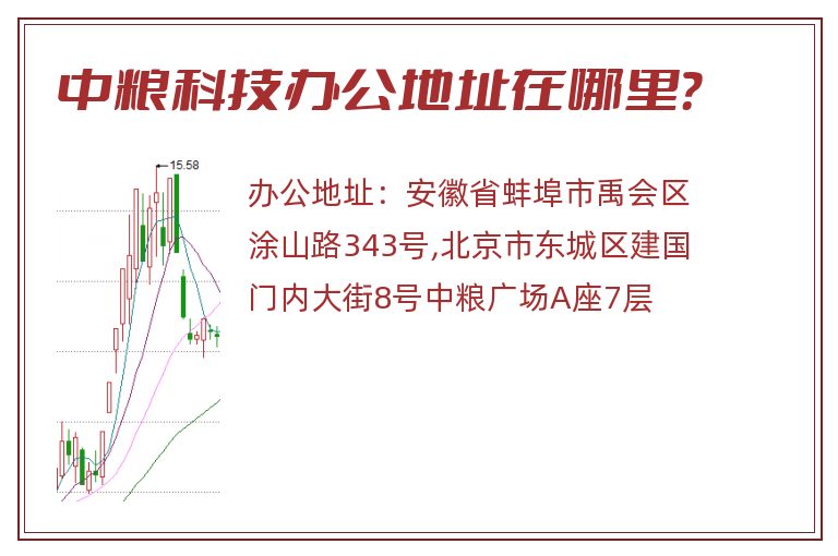 中粮科技办公地址在哪里？