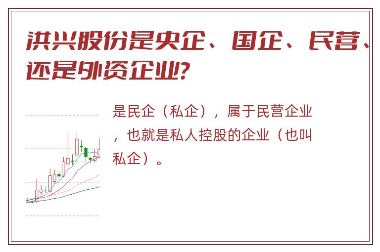 洪兴股份是央企、国企、民营、还是外资企业？