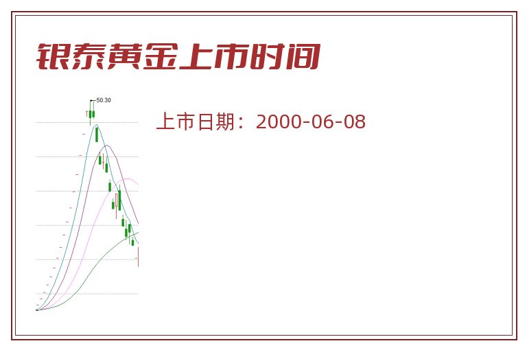 银泰黄金上市时间