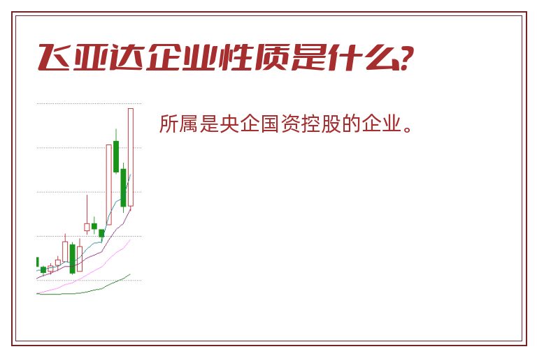 飞亚达企业性质是什么？