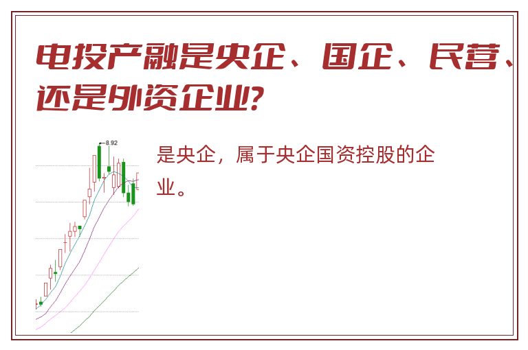 电投产融是央企、国企、民营、还是外资企业？