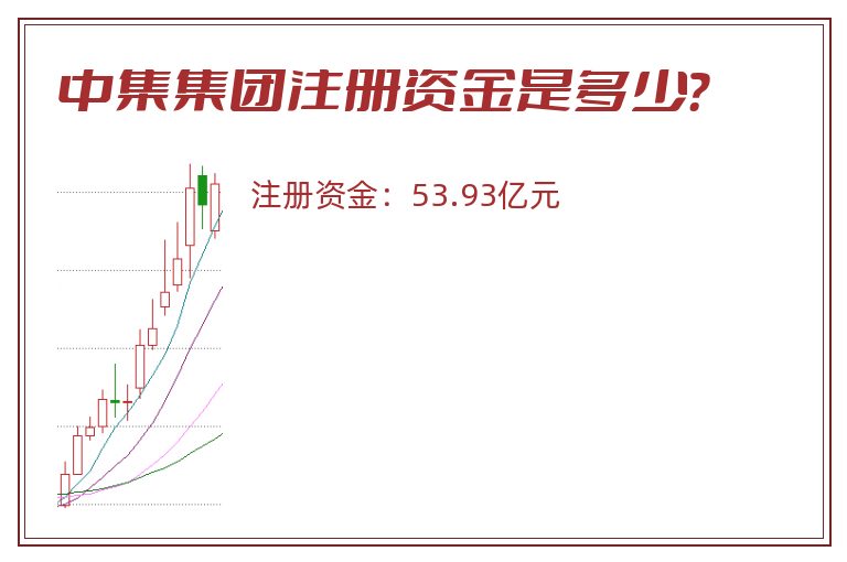 中集集团注册资金是多少？