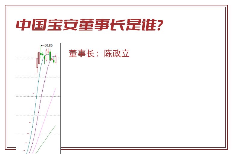 中国宝安董事长是谁？