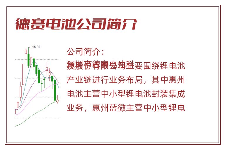 德赛电池公司简介