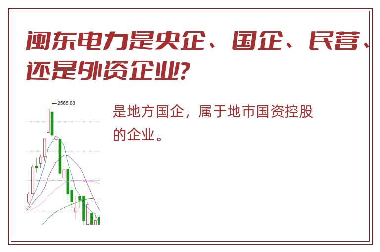 闽东电力是央企、国企、民营、还是外资企业？