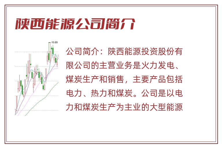 陕西能源公司简介