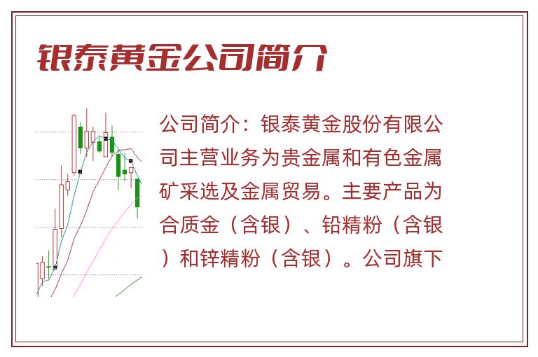 银泰黄金公司简介