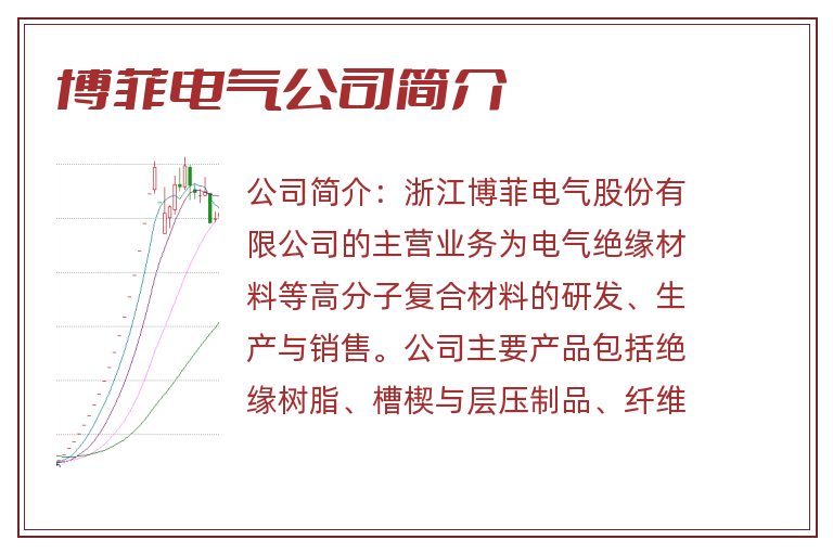 博菲电气公司简介