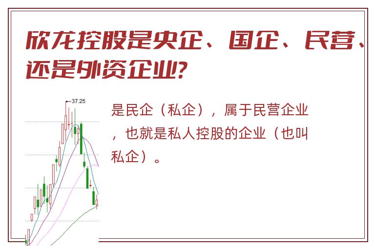 欣龙控股是央企、国企、民营、还是外资企业？