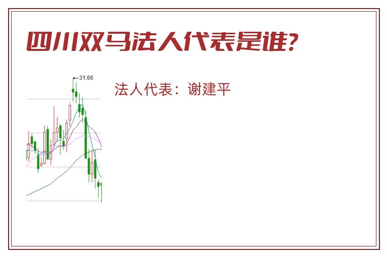 四川双马法人代表是谁？