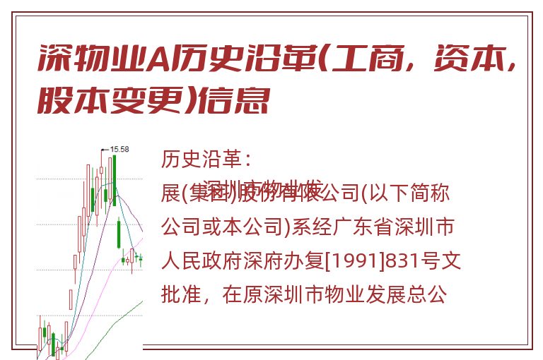 深物业A历史沿革（工商，资本，股本变更）信息