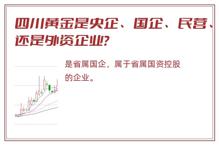 四川黄金是央企、国企、民营、还是外资企业？