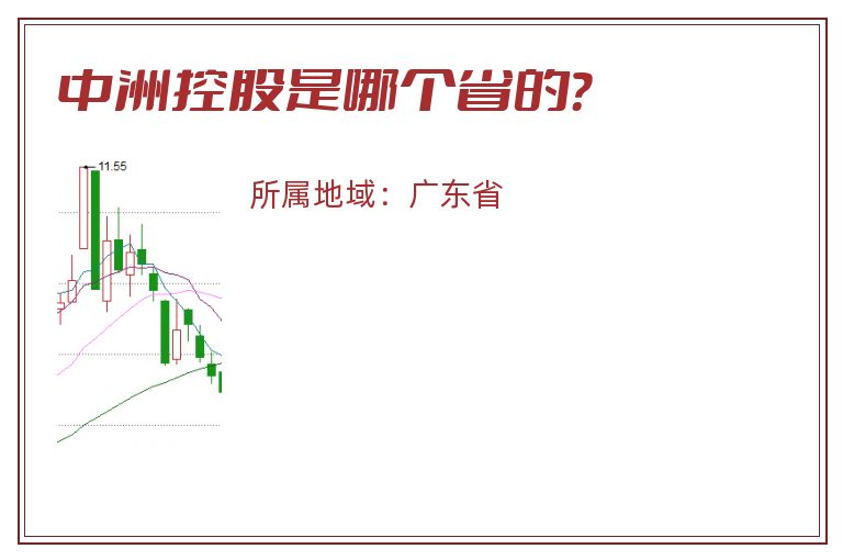 中洲控股是哪个省的？