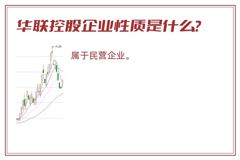 华联控股企业性质是什么？