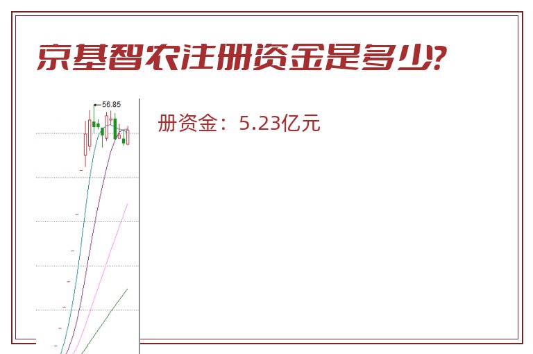 京基智农注册资金是多少？