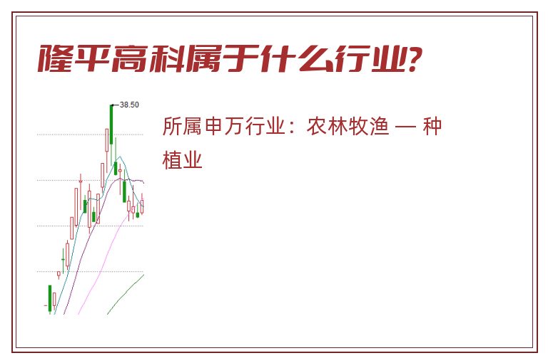 隆平高科属于什么行业？