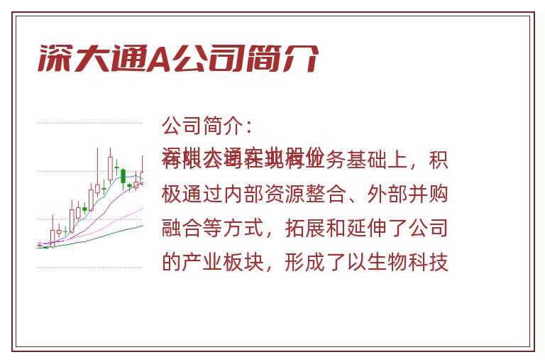 深大通A公司简介