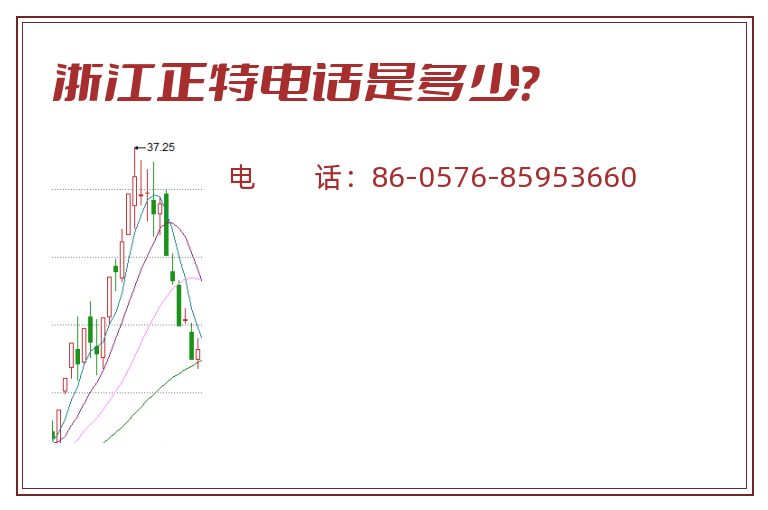 浙江正特电话是多少？