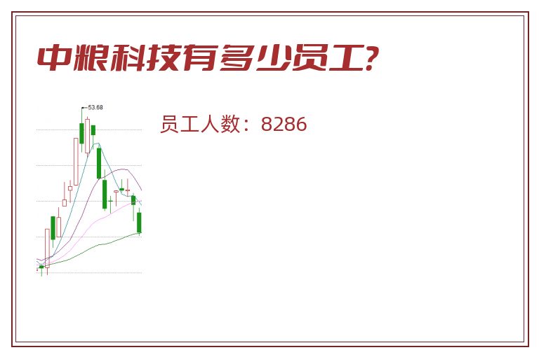 中粮科技有多少员工？