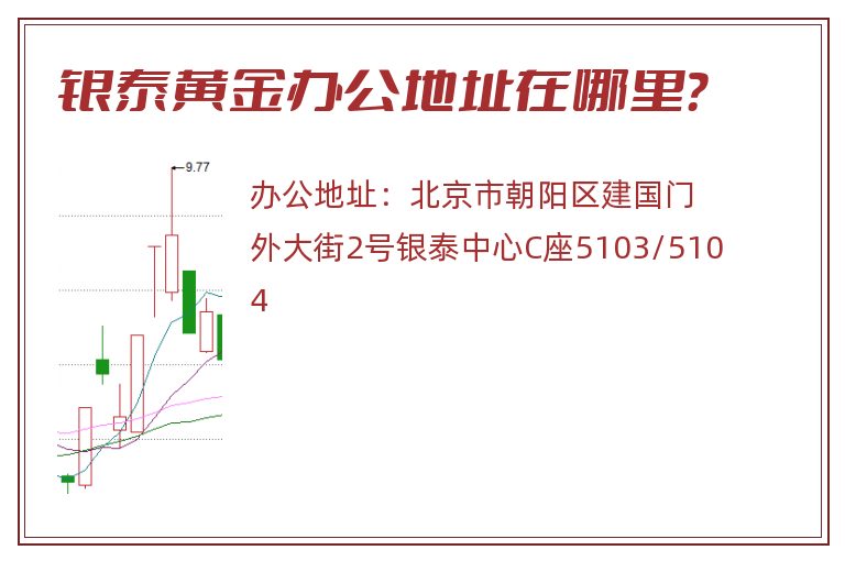 银泰黄金办公地址在哪里？