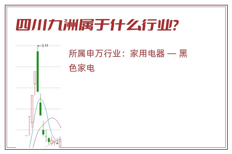 四川九洲.jpg